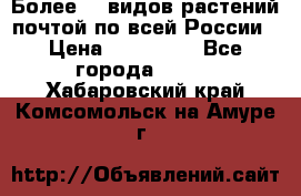 Более200 видов растений почтой по всей России › Цена ­ 100-500 - Все города  »    . Хабаровский край,Комсомольск-на-Амуре г.